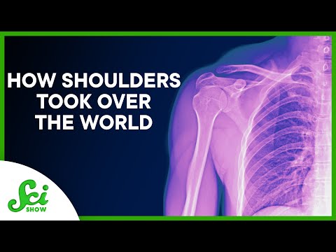 How Shoulders Took Over the World | Museum of Comparative Zoology