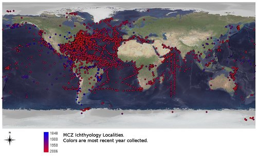 Map showing the distribution localities from which MCZ fish specimens were collected