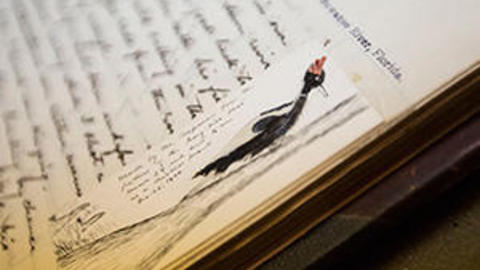 a close-up view of a book page with a bird illustration