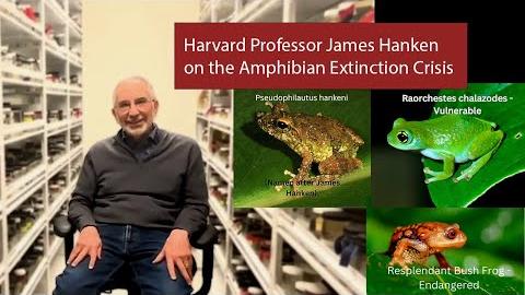 MCZ Curator James Hanken on the Amphibian Extinction Crisis