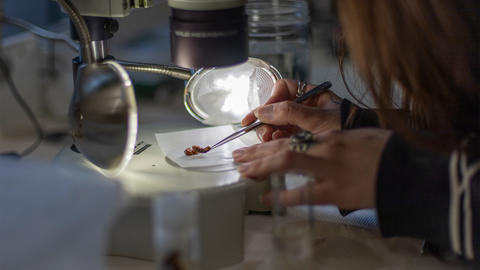 a close up of a person working at a microscope