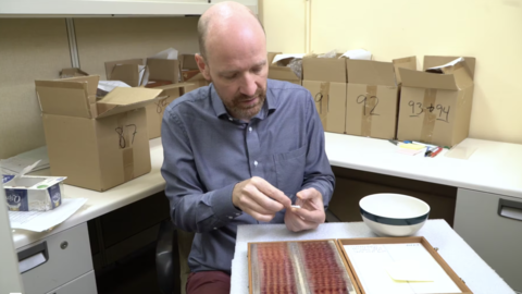 a person holding a glass slide with a box of slides in front and boxes in the background