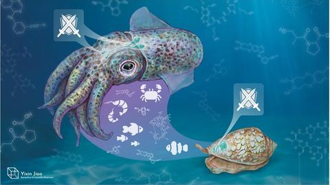 illustration with a marine snail, octopus and science symbols 