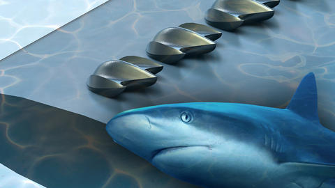 an illustration with a shark and a close-up of shark denticles
