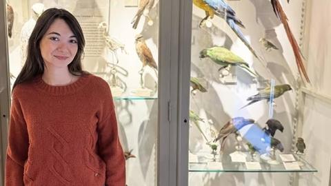 a person standing in front of a museum case filled with bird specimens
