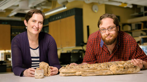two people standing behind a table, with large fossil jaws on it