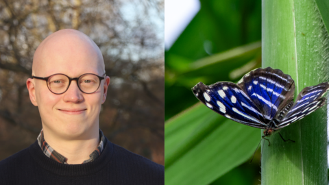 a person's headshot next to a blue butterfly on green foliage