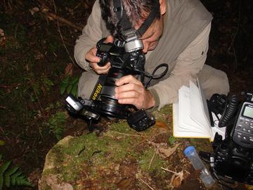 a person with a large camera taking a photo of a tiny animal on a mossy rock