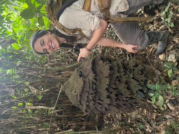 soiltermites.jpeg
