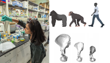 a person working in a lab