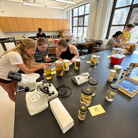 students in a lab setting, looking at specimens in jars