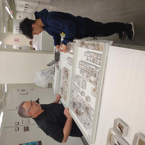 two people examining specimens in a natural history collection storage area