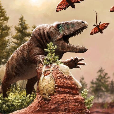 an illustration with prehistoric animals and plants