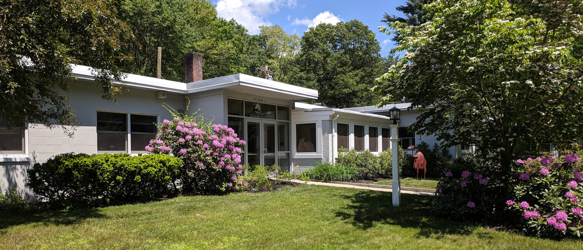 a single story white building surrounded by trees and green foliage
