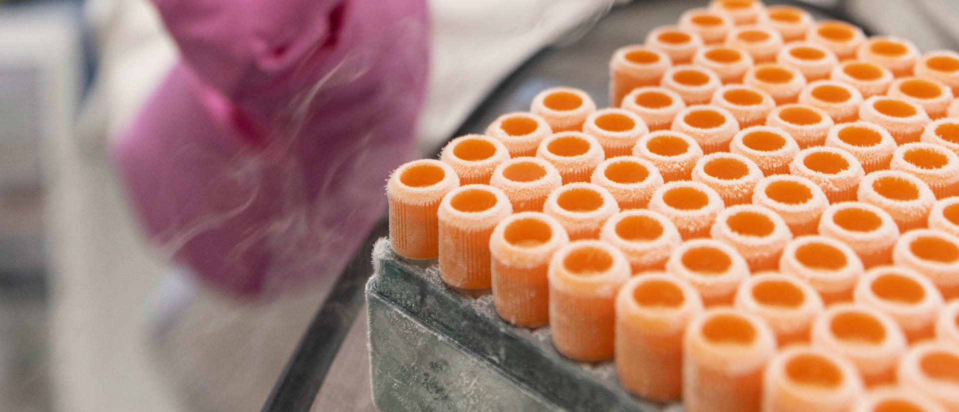 vials with orange caps and frost 
