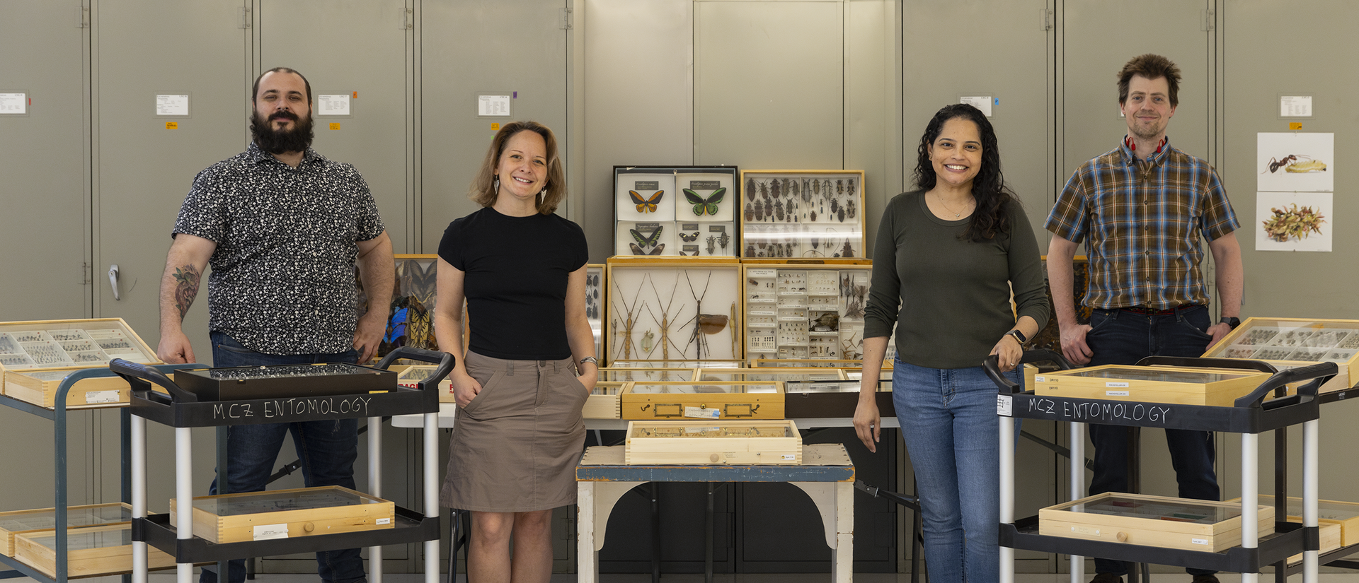 four people standing with drawers of pinned insects