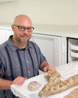 a person standing with a drawer of fossil jaws