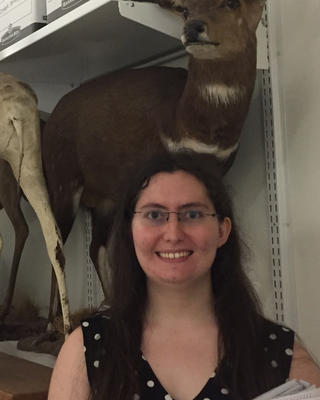 a person standing in front of taxidermy specimens