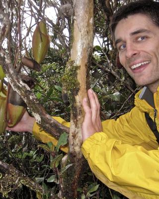 a person in a tropical location