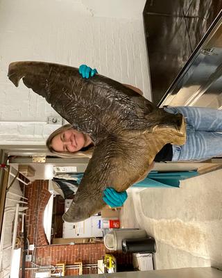 a person holding a large specimen in a zoological collection