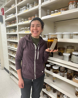 a person standing in front of white shelves filled with specimen jars, holding a specimen jar