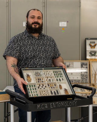 a person standing with a drawer of insect specimens