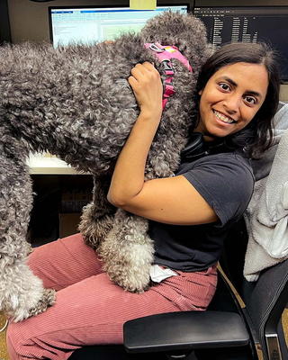 a person sitting in a chair with a large dog standing on their lap