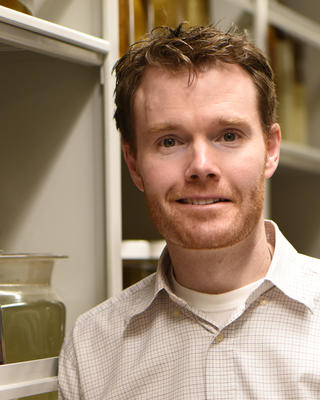 Andrew Williston