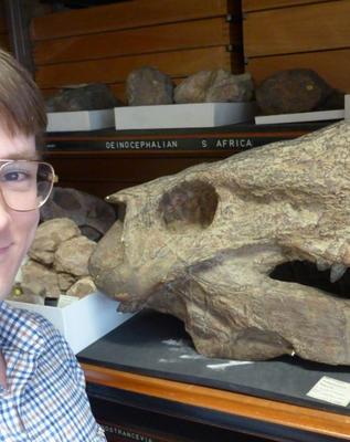a person standing next to a fossil skull