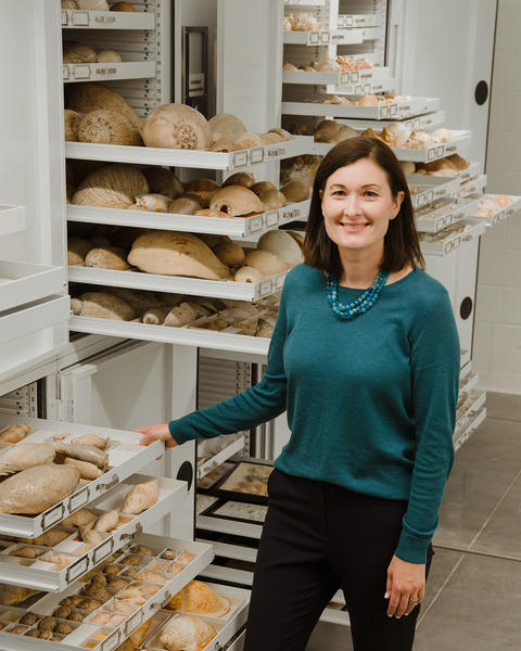 A person standing next to drawers of specimens