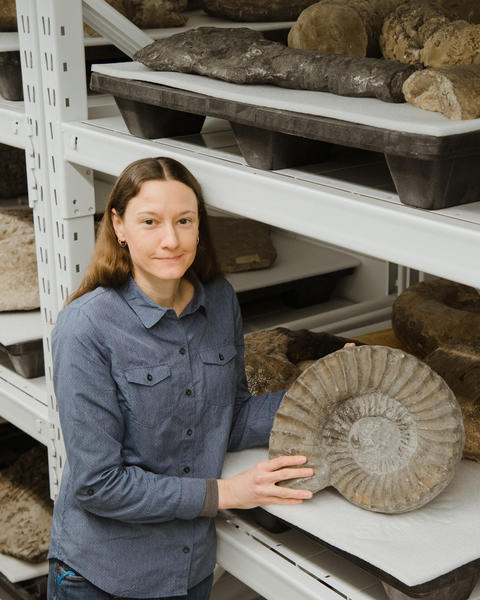 a person standing in front of large invertebrate fossil specimens on white shelves