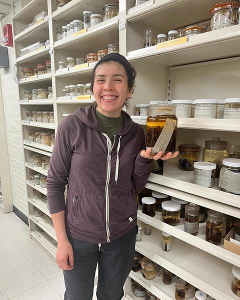 a person standing in front of white shelves filled with specimen jars, holding a specimen jar