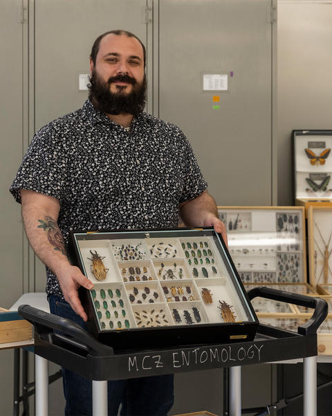 a person standing with a drawer of insect specimens