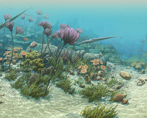 an underwater representation of extinct marine animals