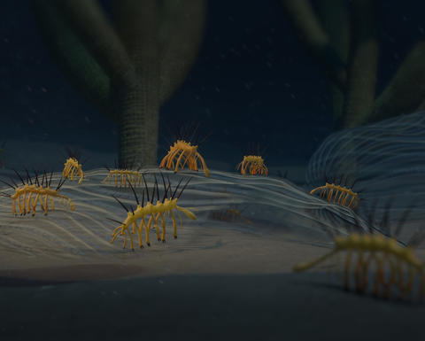 an illustration of prehistoric invertebrates