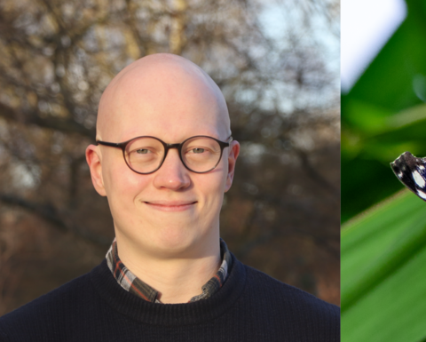 a person's headshot next to a blue butterfly on green foliage
