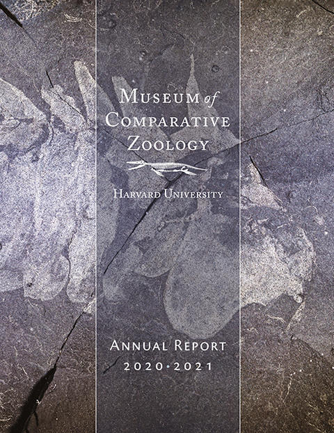 cover of the 2020-2021 annual report, featuring an invertebrate fossil