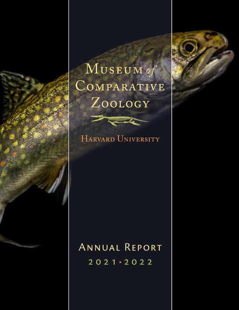 Annual Report cover showing a fish with a dark background