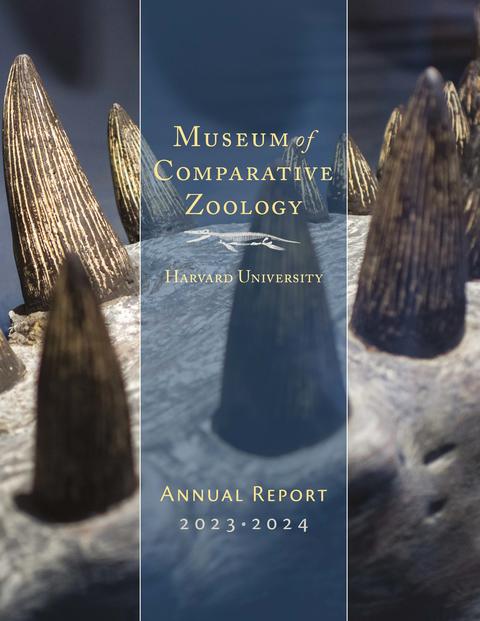 cover image of the 2023-2024 Annual Report