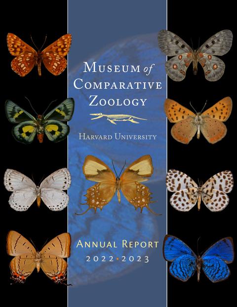 cover of the 2022-2023 MCZ Annual Report, various butterfly images on a black background